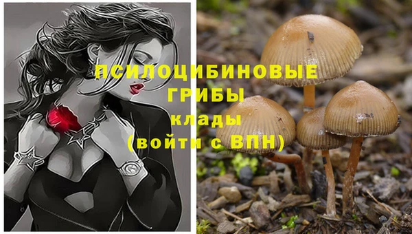 кристаллы Абаза