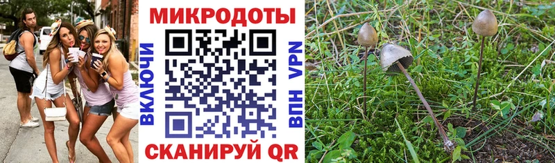 Галлюциногенные грибы ЛСД  площадка какой сайт  Нестеровская 