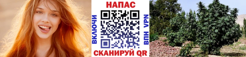 Конопля THC 21%  Нестеровская 